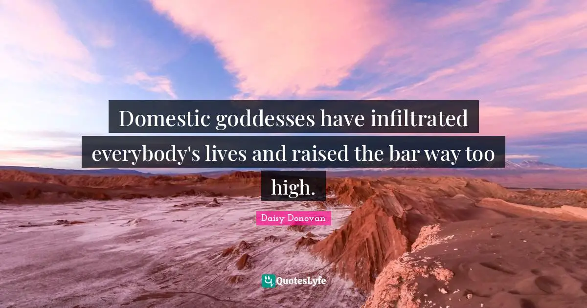 Domestic goddesses have infiltrated everybody's lives and raised the bar way too high.
