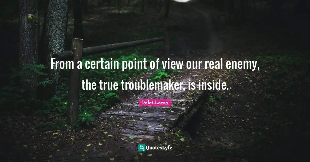 Point Of View Quotes: "From a certain point of view our real enemy, the true troublemaker, is inside."