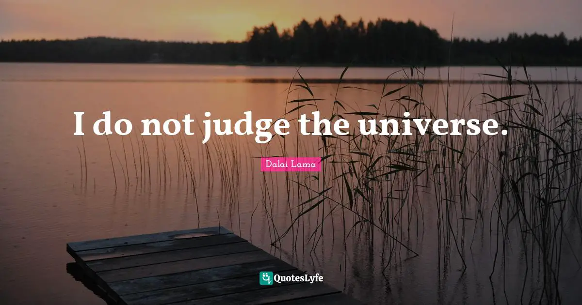 I do not judge the universe.