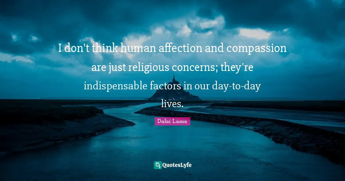 I don't think human affection and compassion are just religious concerns; they're indispensable factors in our day-to-day lives.