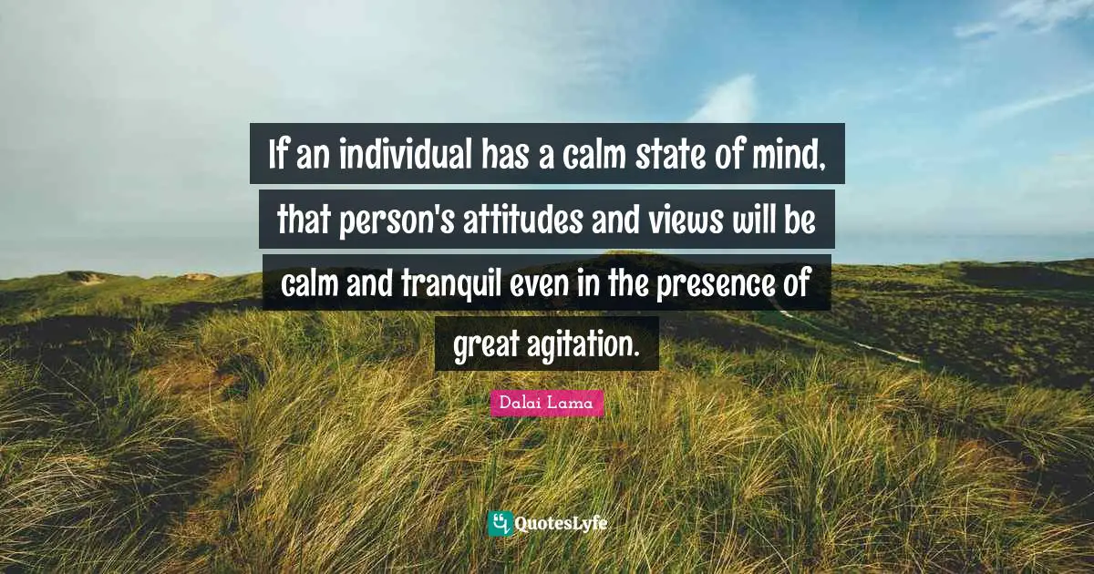 Agitation Quotes: "If an individual has a calm state of mind, that person's attitudes and views will be calm and tranquil even in the presence of great agitation."