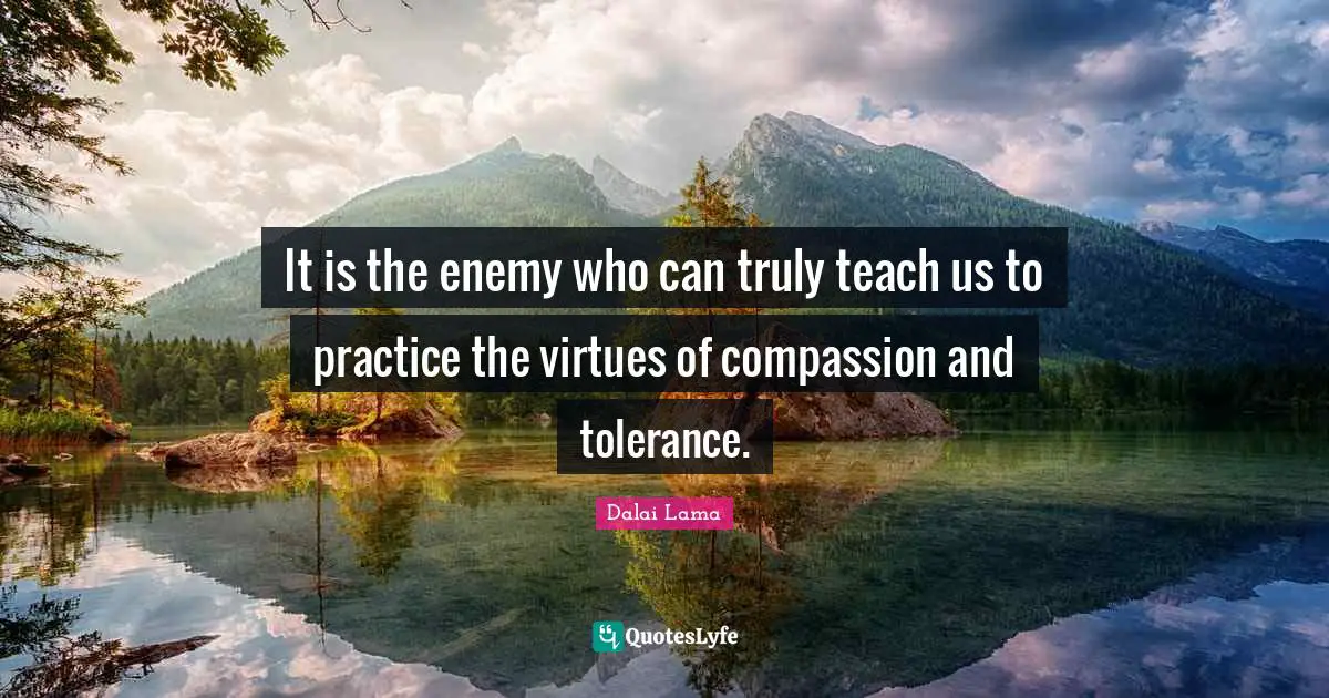 It is the enemy who can truly teach us to practice the virtues of compassion and tolerance.