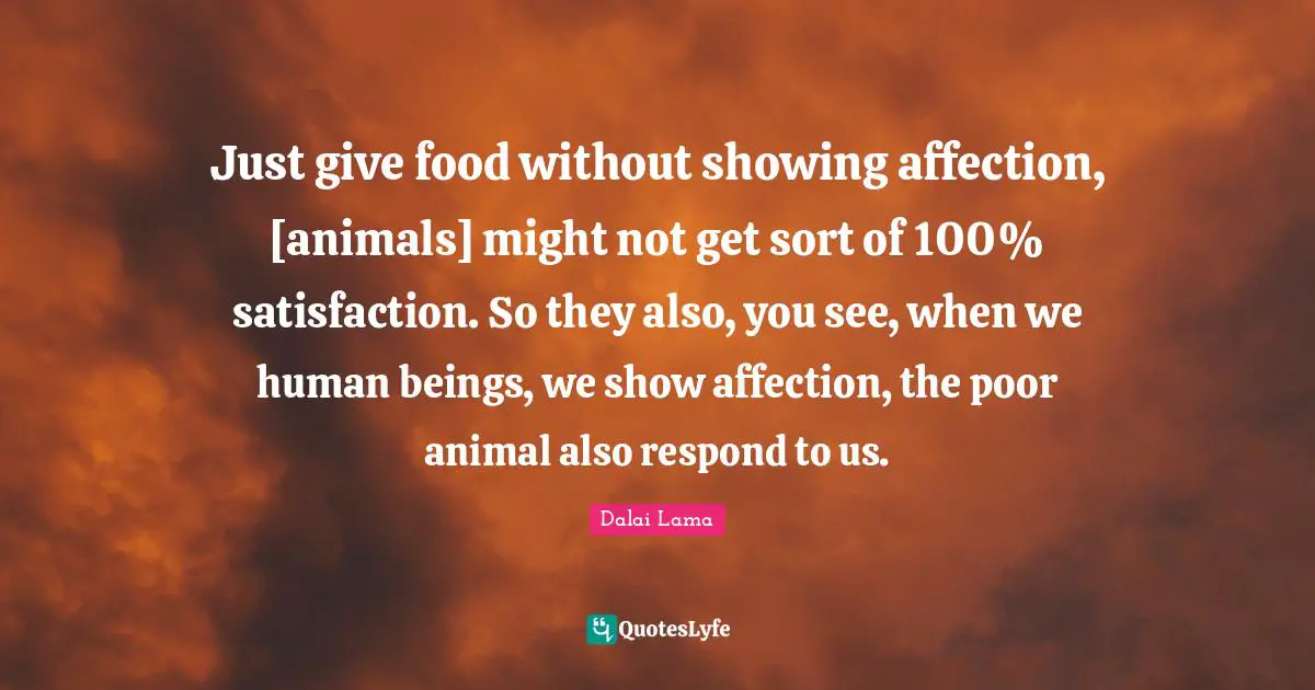 Just give food without showing affection, [animals] might not get sort of 100% satisfaction. So they also, you see, when we human beings, we show affection, the poor animal also respond to us.