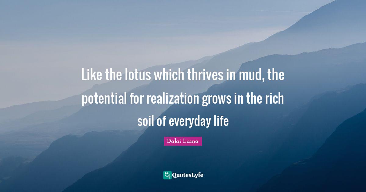 Like the lotus which thrives in mud, the potential for realization grows in the rich soil of everyday life