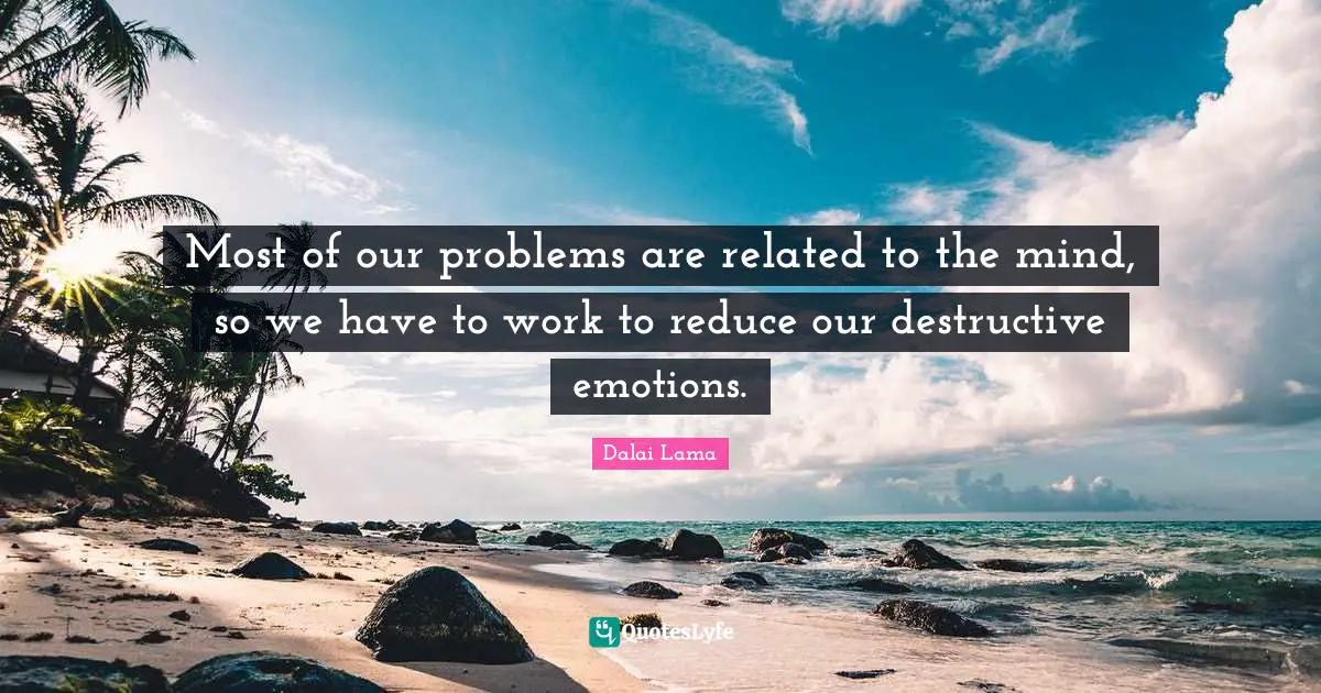Most of our problems are related to the mind, so we have to work to reduce our destructive emotions.