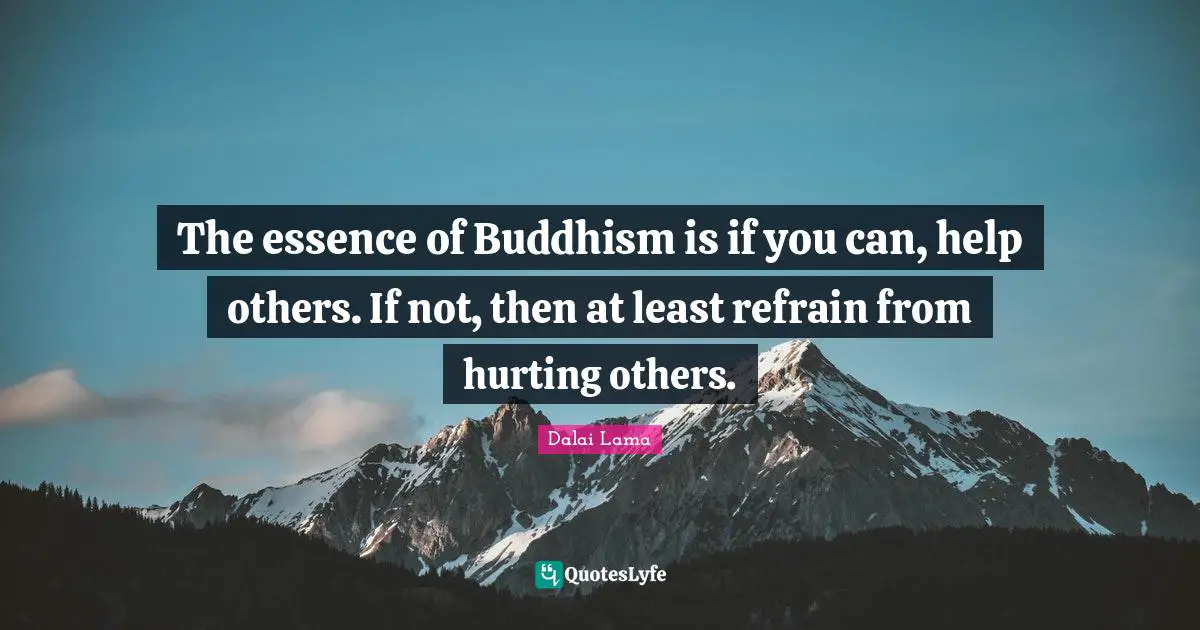 The essence of Buddhism is if you can, help others. If not, then at least refrain from hurting others.