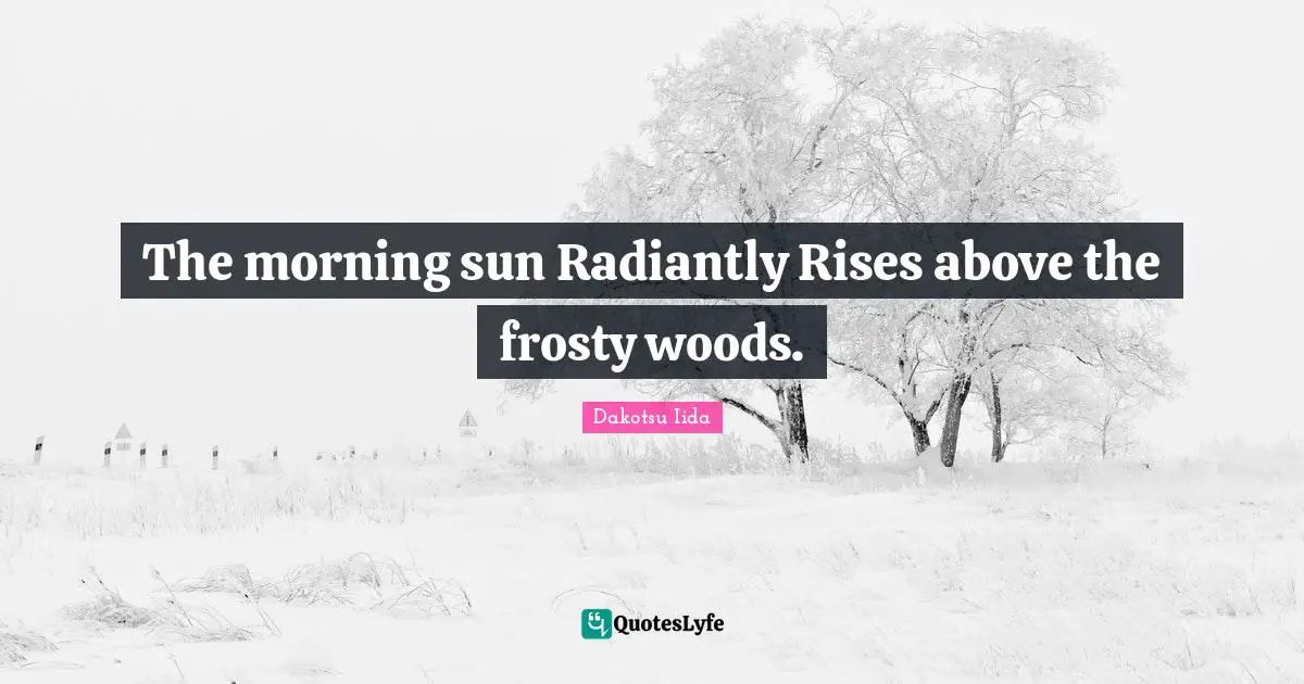 The morning sun Radiantly Rises above the frosty woods.