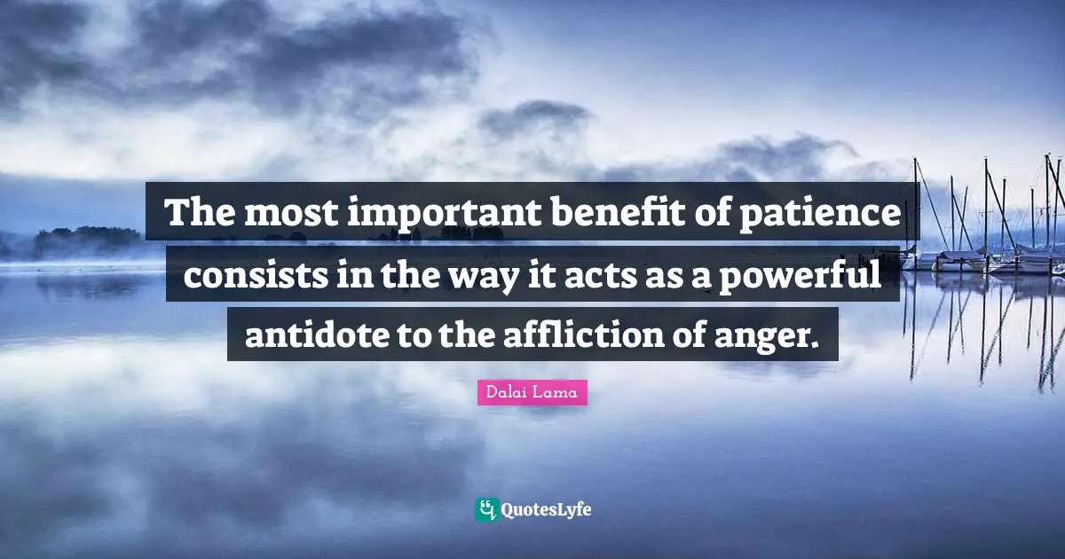 The most important benefit of patience consists in the way it acts as a powerful antidote to the affliction of anger.