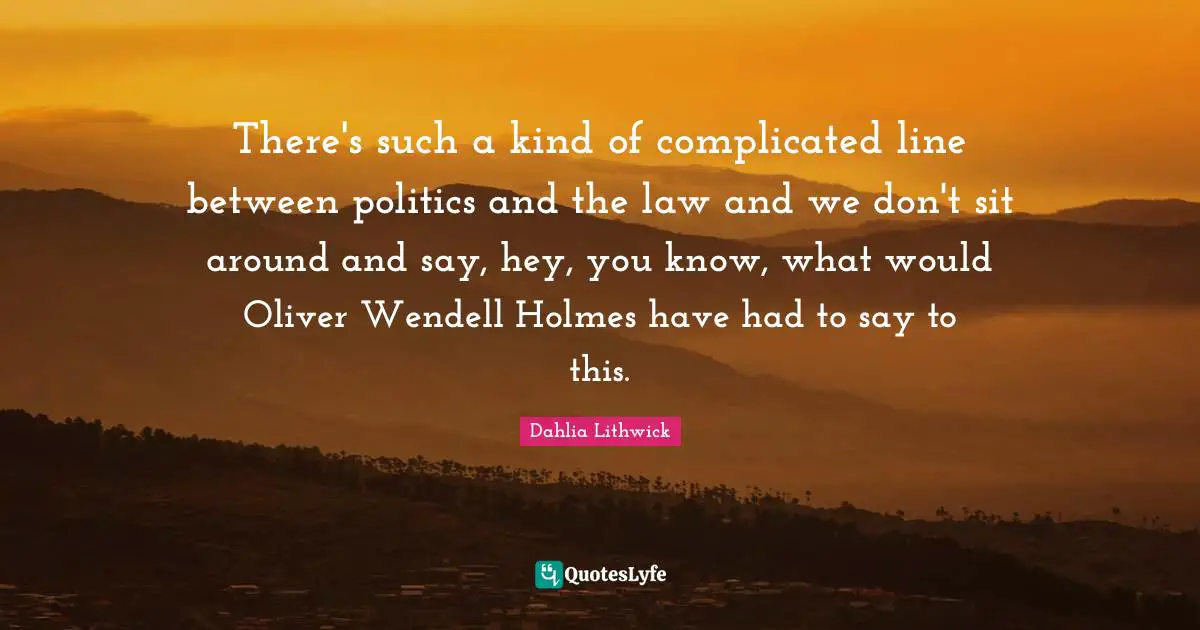 There's such a kind of complicated line between politics and the law and we don't sit around and say, hey, you know, what would Oliver Wendell Holmes have had to say to this.