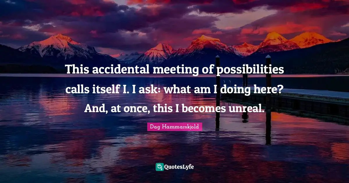 This accidental meeting of possibilities calls itself I. I ask: what am I doing here? And, at once, this I becomes unreal.
