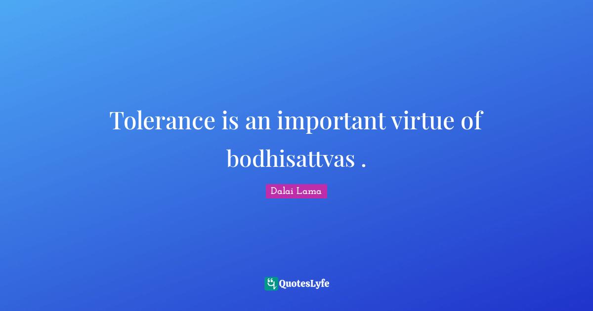 Tolerance is an important virtue of bodhisattvas .