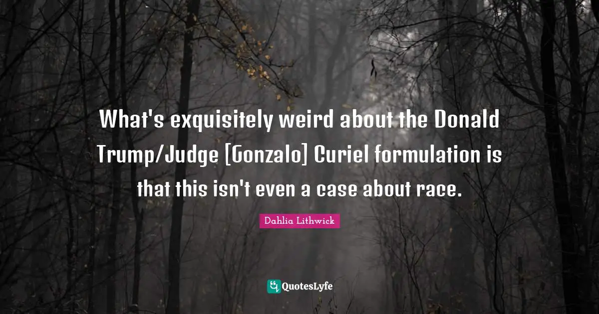 What's exquisitely weird about the Donald Trump/Judge [Gonzalo] Curiel formulation is that this isn't even a case about race.