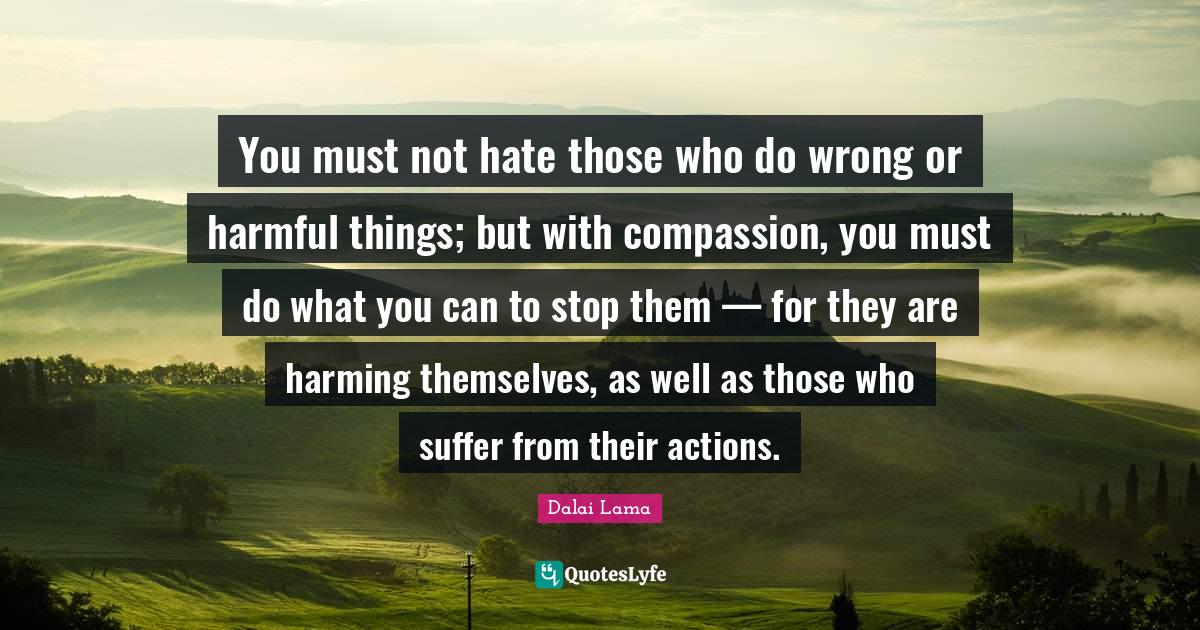 You must not hate those who do wrong or harmful things; but with compa