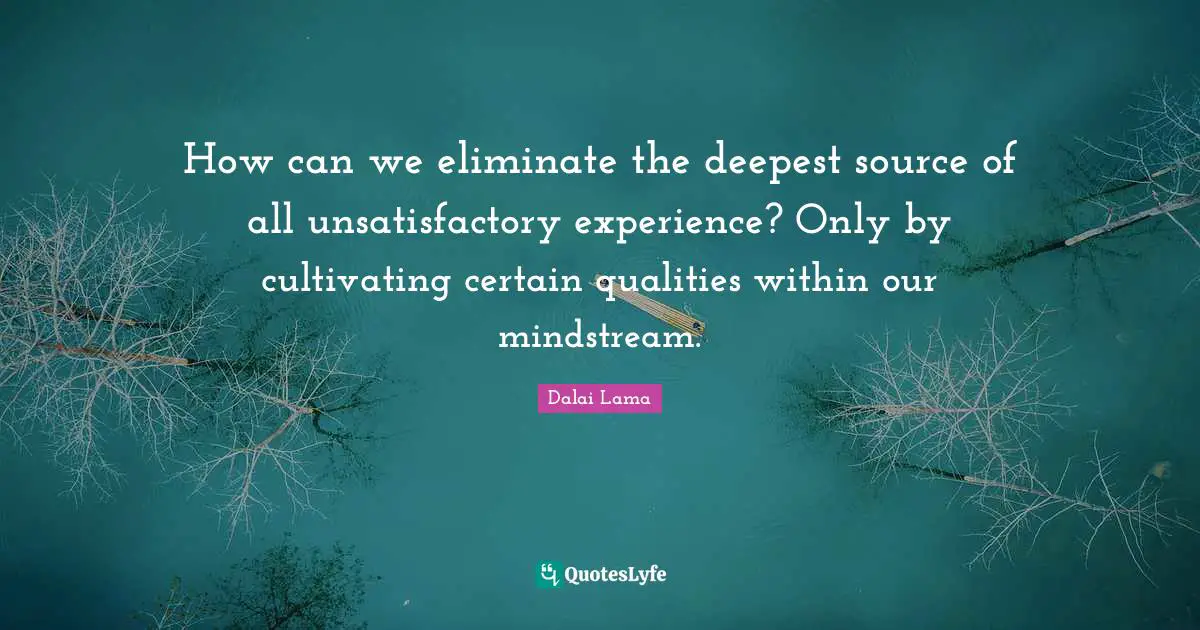 How can we eliminate the deepest source of all unsatisfactory experience? Only by cultivating certain qualities within our mindstream.