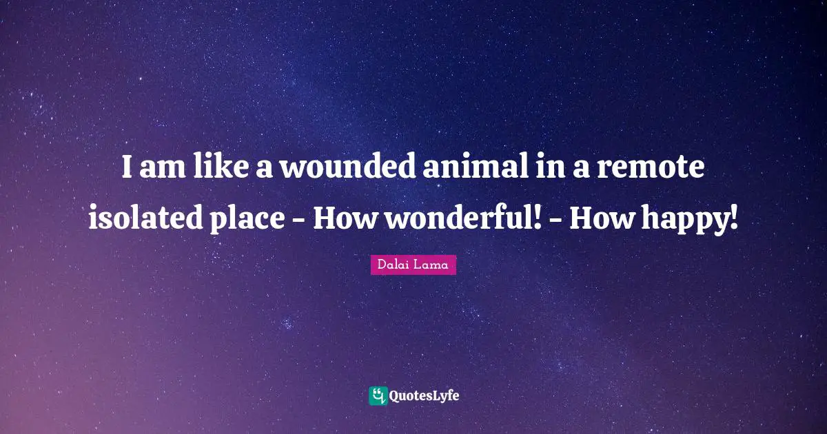 I am like a wounded animal in a remote isolated place - How wonderful! - How happy!