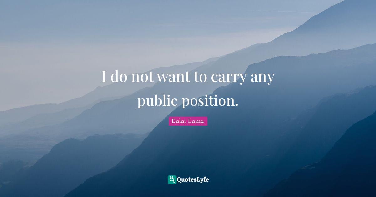 I do not want to carry any public position.