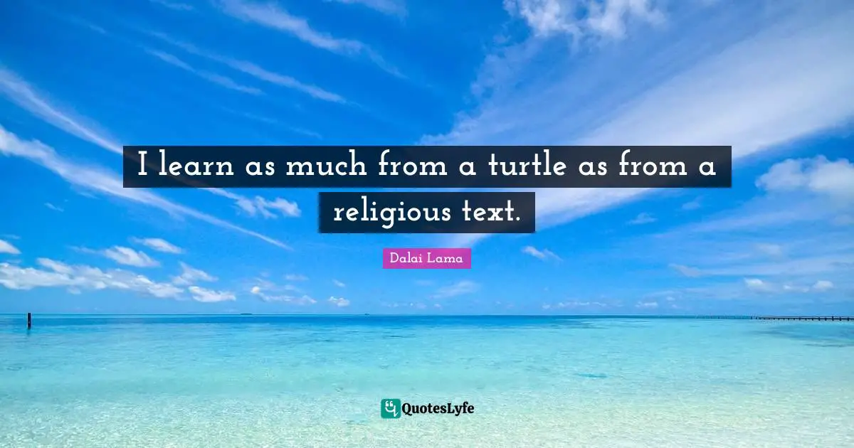 I learn as much from a turtle as from a religious text.