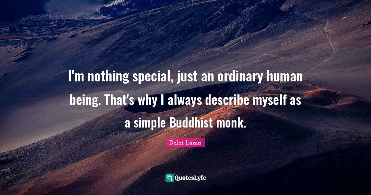 I'm nothing special, just an ordinary human being. That's why I always describe myself as a simple Buddhist monk.