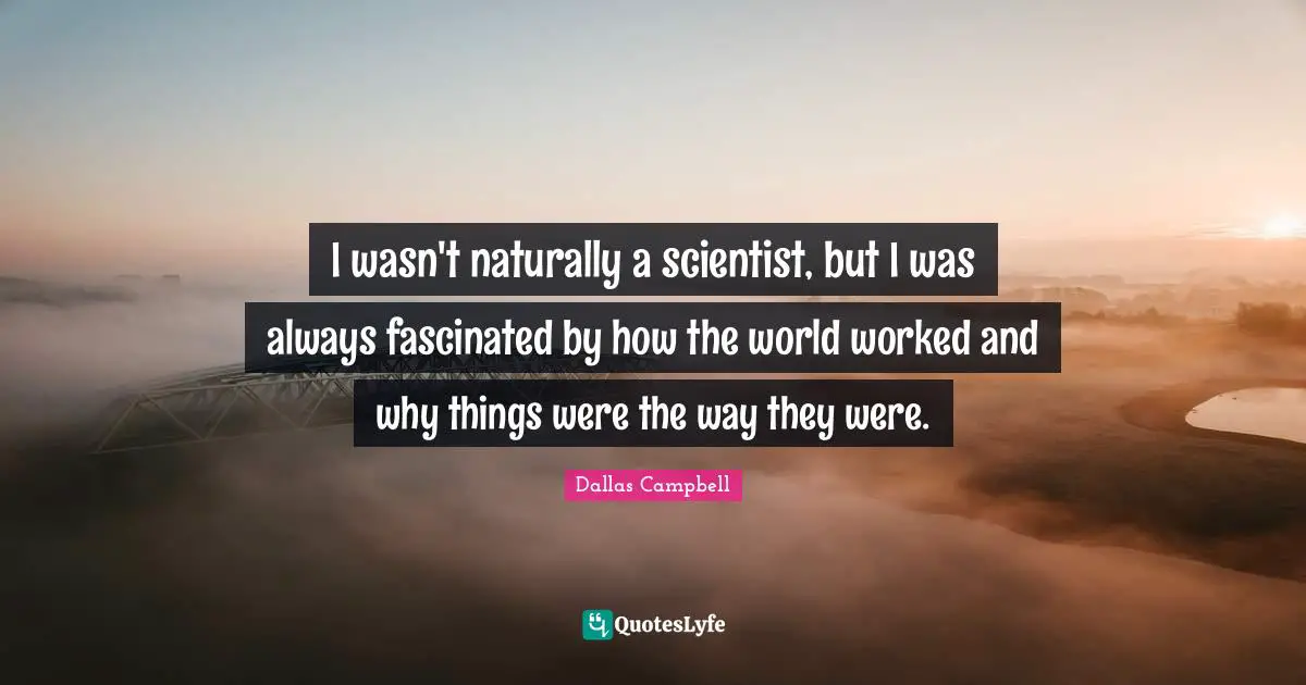 I wasn't naturally a scientist, but I was always fascinated by how the world worked and why things were the way they were.