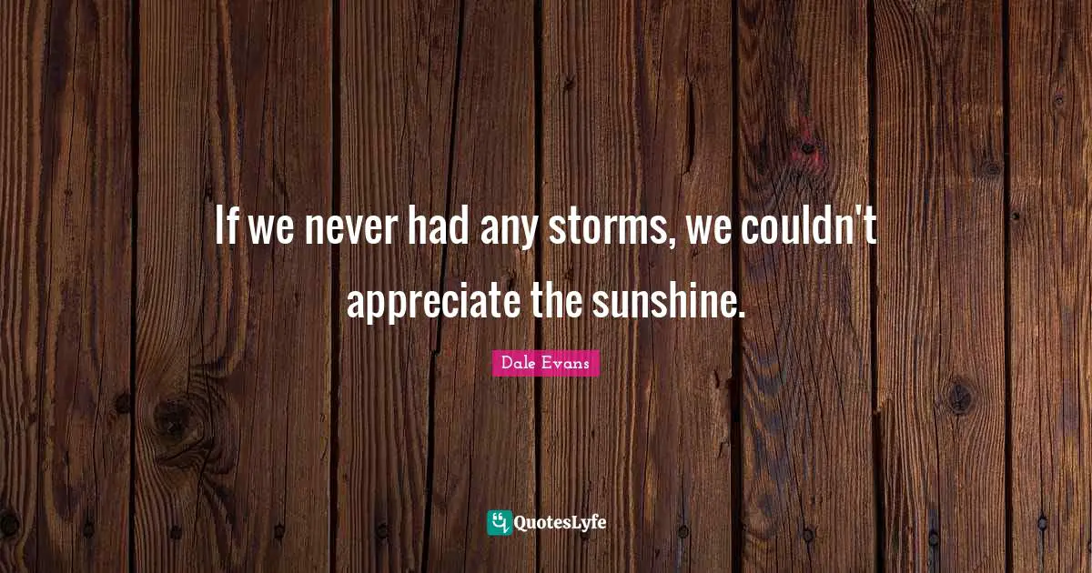 If we never had any storms, we couldn't appreciate the sunshine.