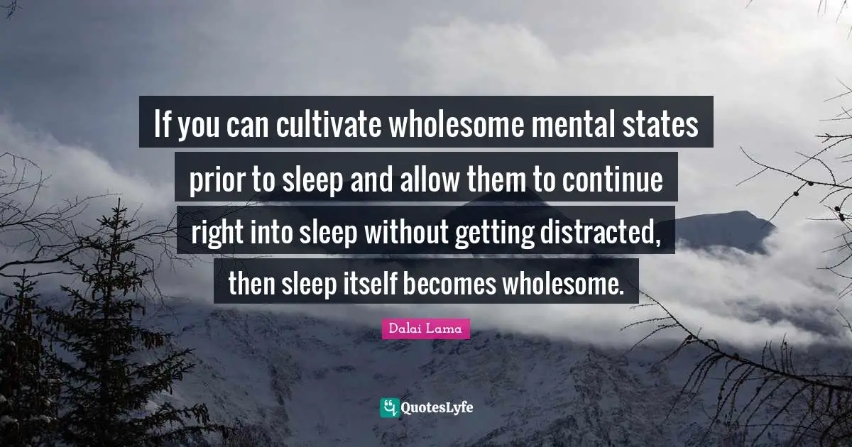 If you can cultivate wholesome mental states prior to sleep and allow them to continue right into sleep without getting distracted, then sleep itself becomes wholesome.