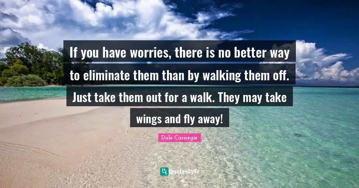 If you have worries, there is no better way to eliminate them than by walking them off. Just take them out for a walk. They may take wings and fly away!