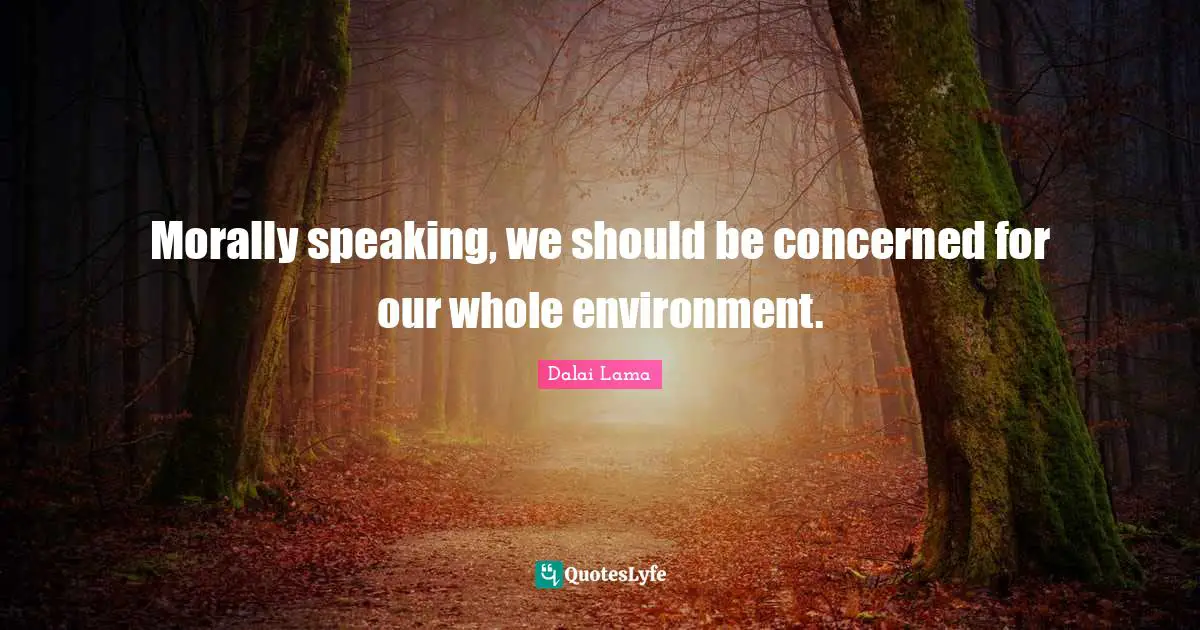 Morally speaking, we should be concerned for our whole environment.