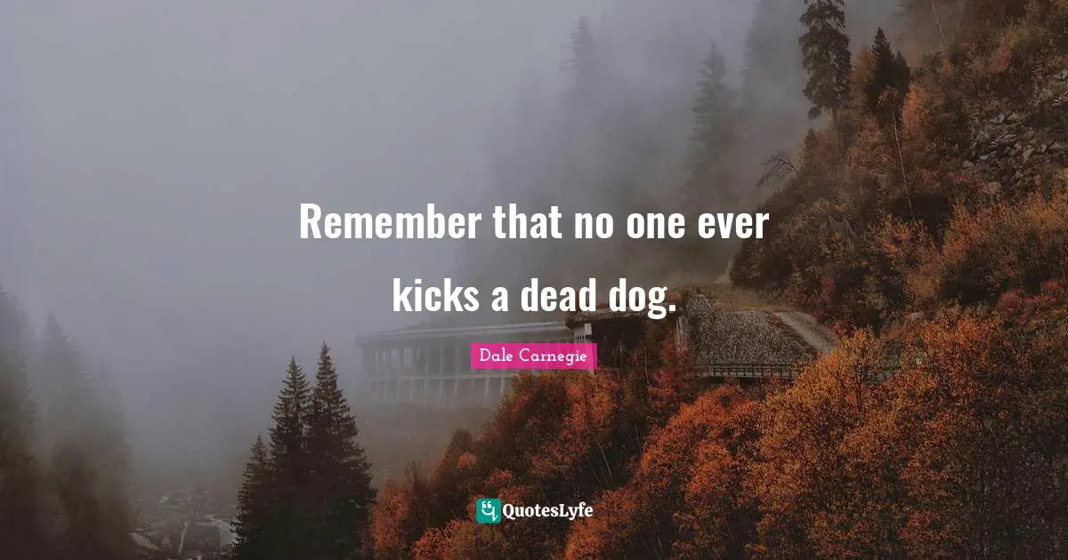 Remember that no one ever kicks a dead dog.
