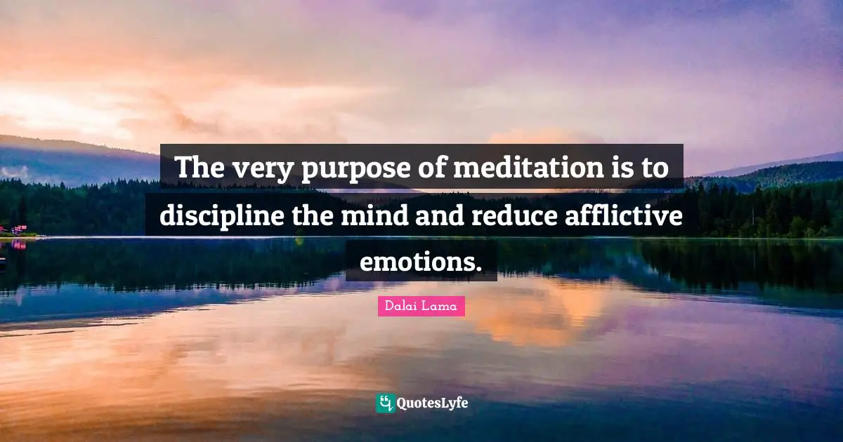 The very purpose of meditation is to discipline the mind and reduce afflictive emotions.
