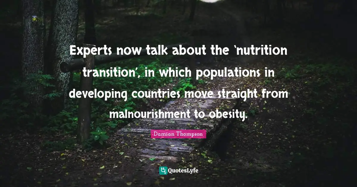 Experts now talk about the ‘nutrition transition’, in which populations in developing countries move straight from malnourishment to obesity.
