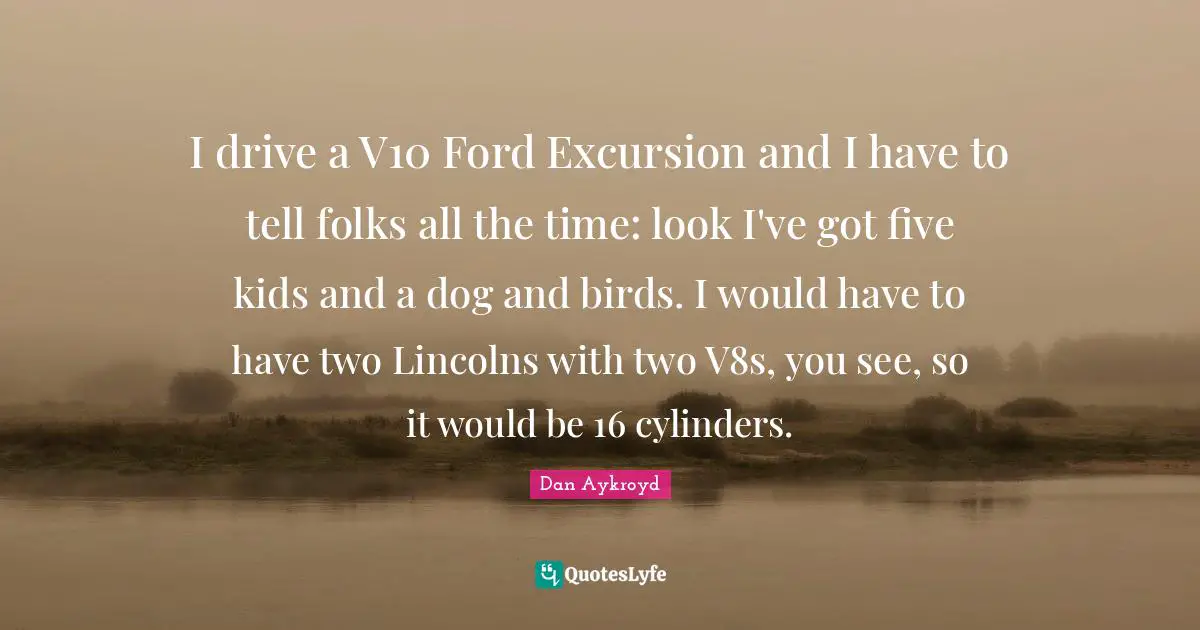 I drive a V10 Ford Excursion and I have to tell folks all the time: look I've got five kids and a dog and birds. I would have to have two Lincolns with two V8s, you see, so it would be 16 cylinders.