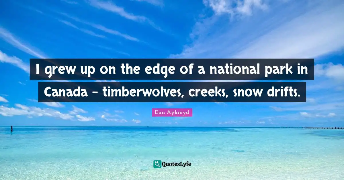 I grew up on the edge of a national park in Canada - timberwolves, creeks, snow drifts.