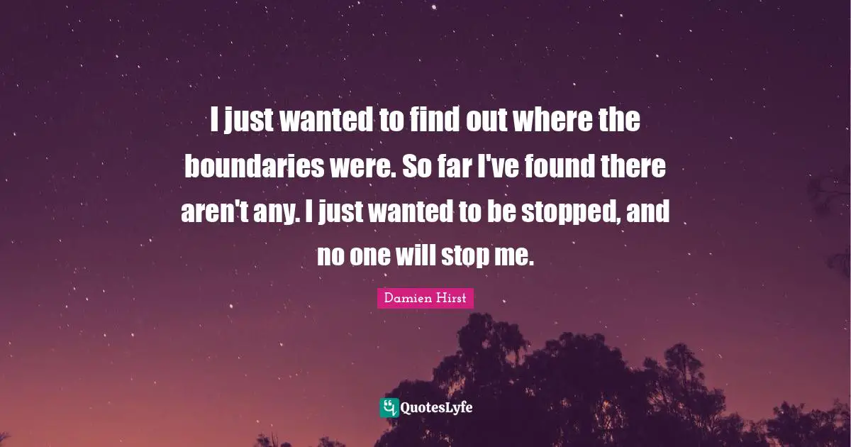 I just wanted to find out where the boundaries were. So far I've found there aren't any. I just wanted to be stopped, and no one will stop me.