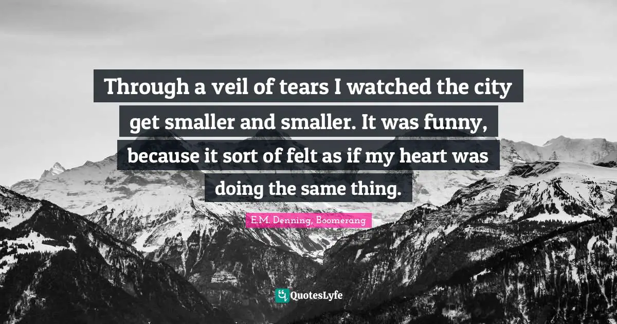 Through a veil of tears I watched the city get smaller and smaller. It was funny, because it sort of felt as if my heart was doing the same thing.