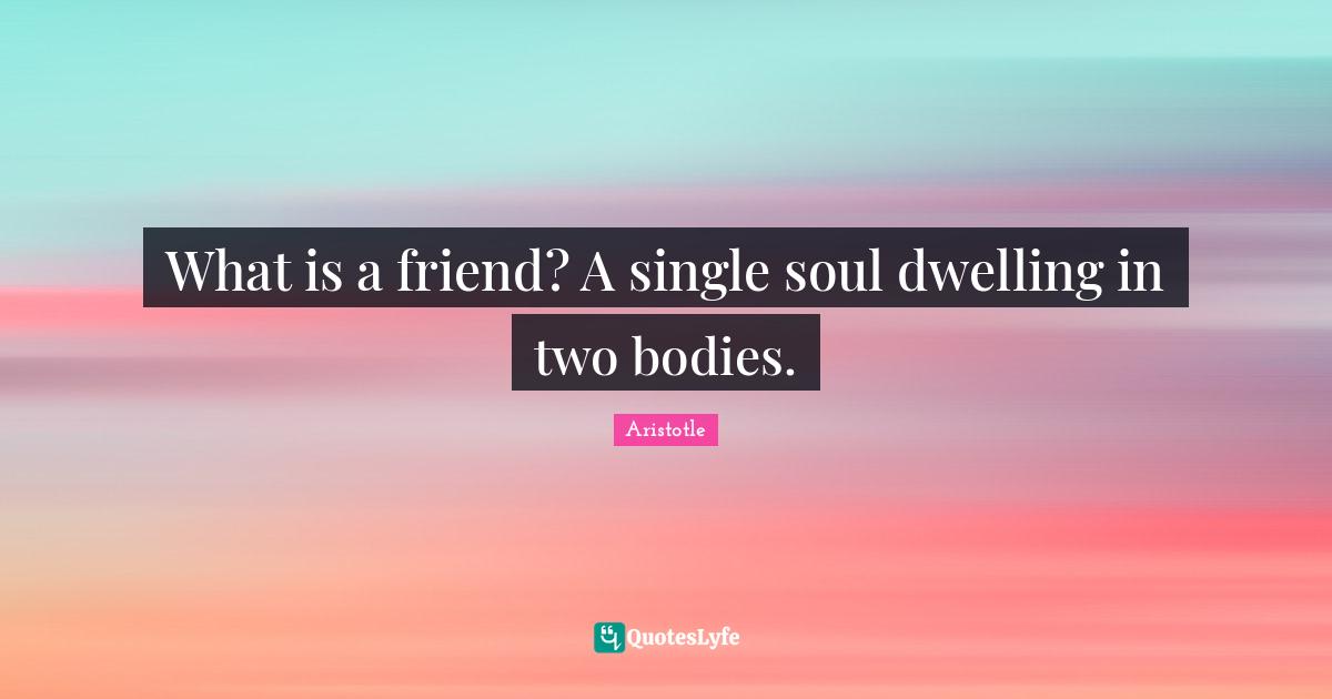 What is a friend? A single soul dwelling in two bodies.