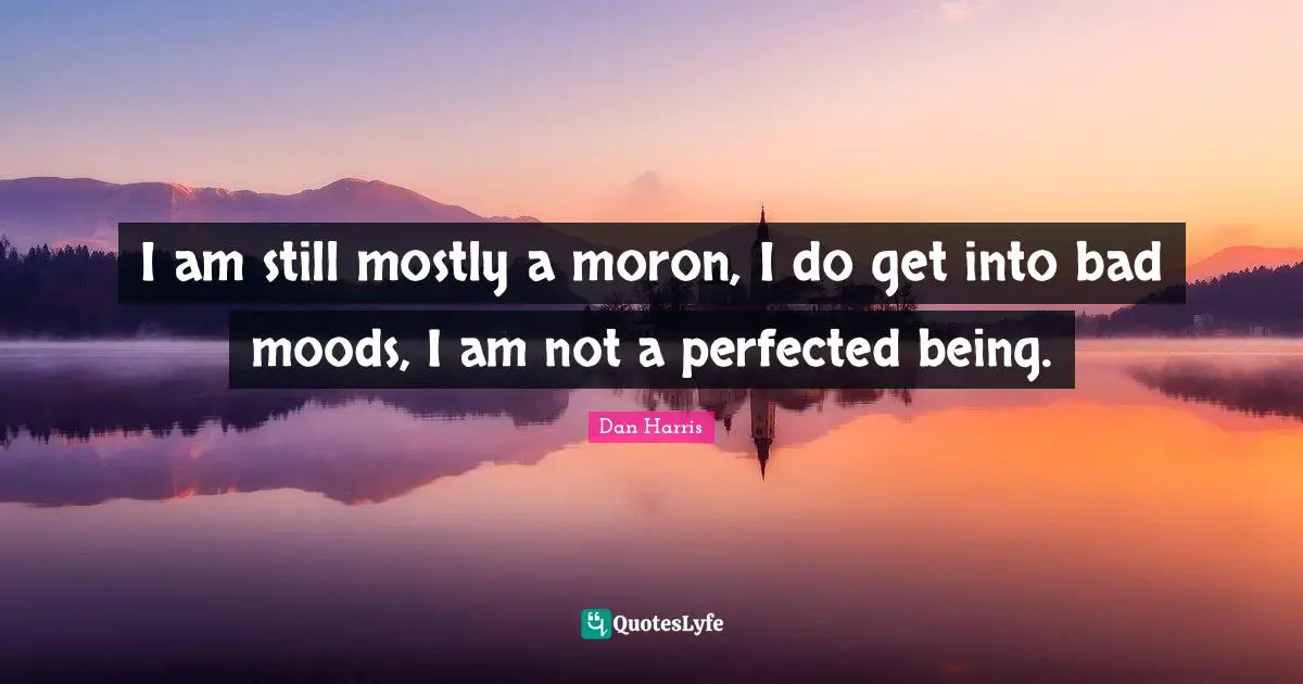 I am still mostly a moron, I do get into bad moods, I am not a perfected being.