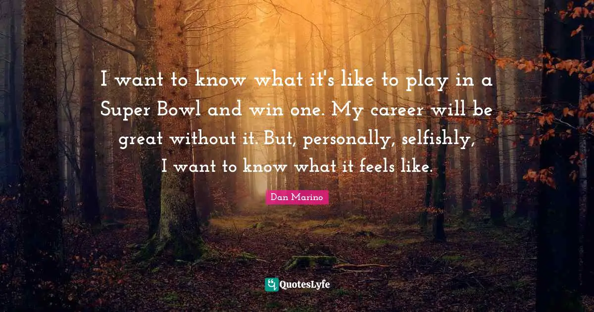 I want to know what it's like to play in a Super Bowl and win one. My career will be great without it. But, personally, selfishly, I want to know what it feels like.