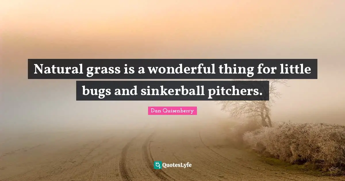 Natural grass is a wonderful thing for little bugs and sinkerball pitchers.