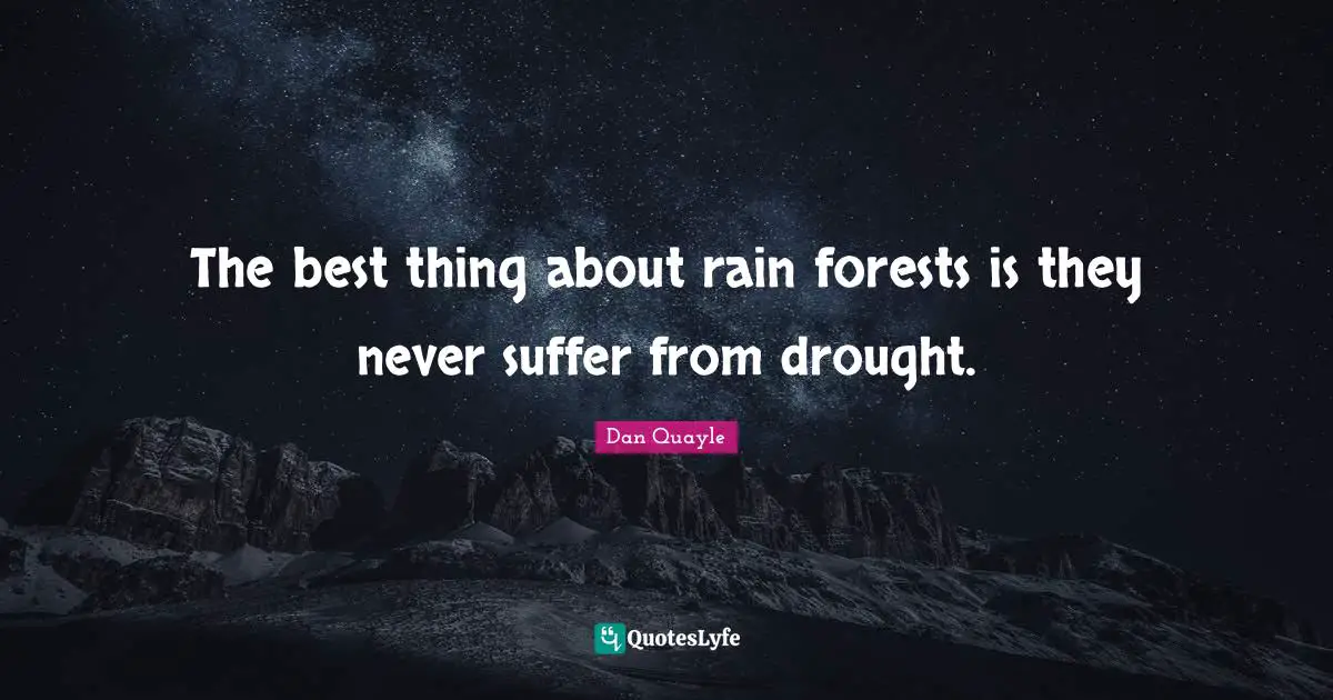 The best thing about rain forests is they never suffer from drought.