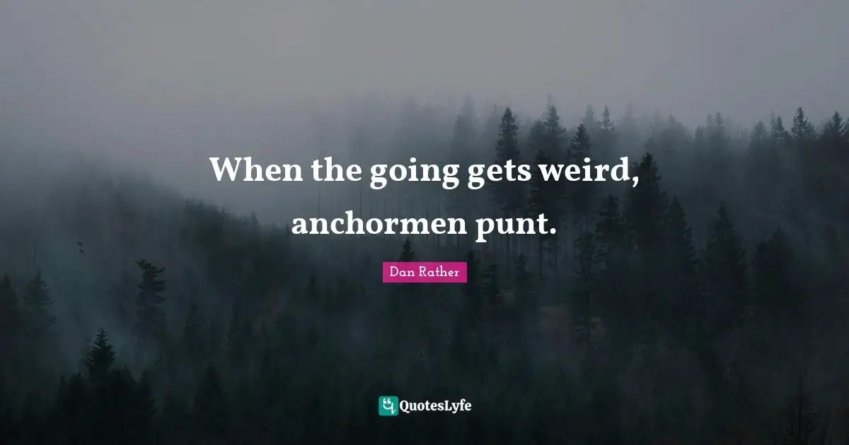 When the going gets weird, anchormen punt.