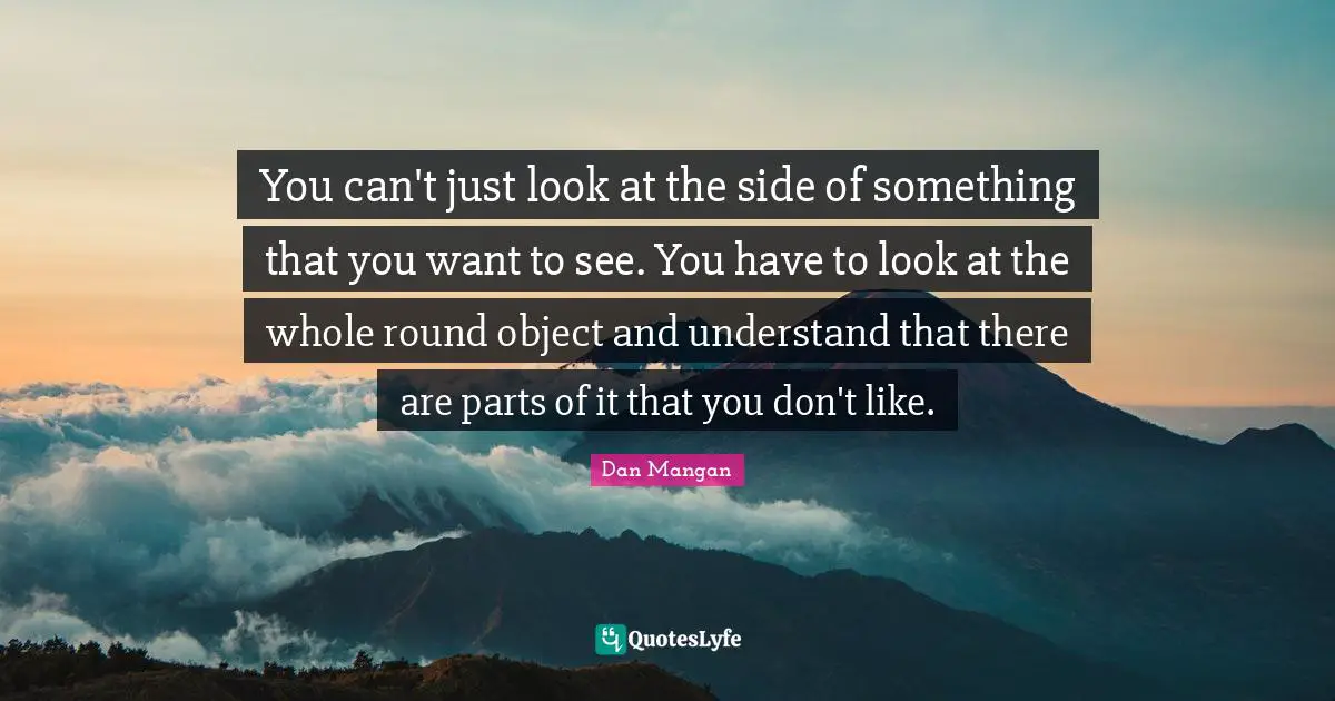 You can't just look at the side of something that you want to see. You have to look at the whole round object and understand that there are parts of it that you don't like.