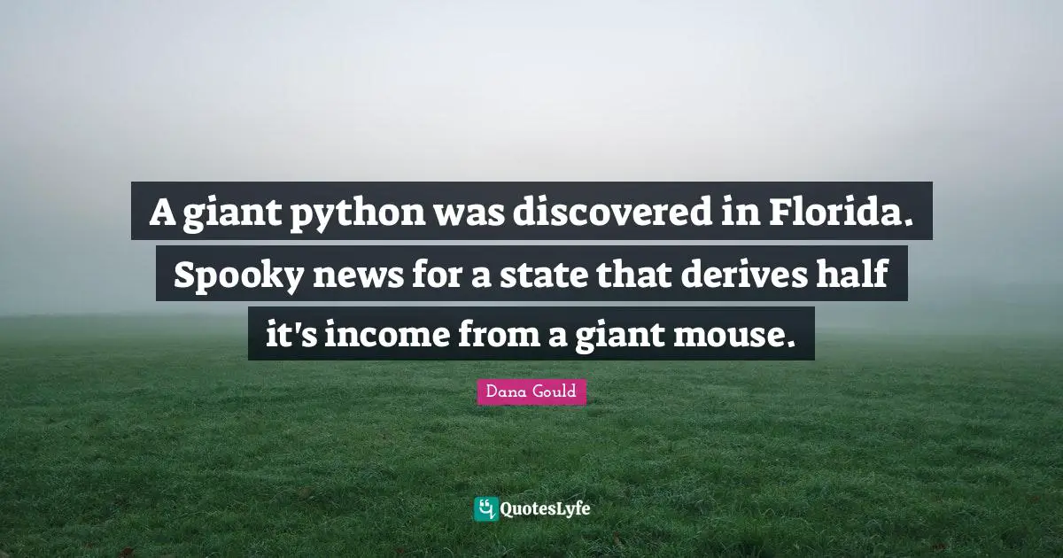 A giant python was discovered in Florida. Spooky news for a state that derives half it's income from a giant mouse.