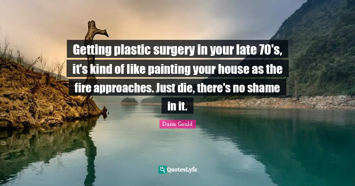 Getting plastic surgery in your late 70's, it's kind of like painting your house as the fire approaches. Just die, there's no shame in it.