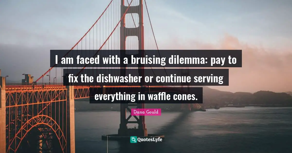 I am faced with a bruising dilemma: pay to fix the dishwasher or continue serving everything in waffle cones.