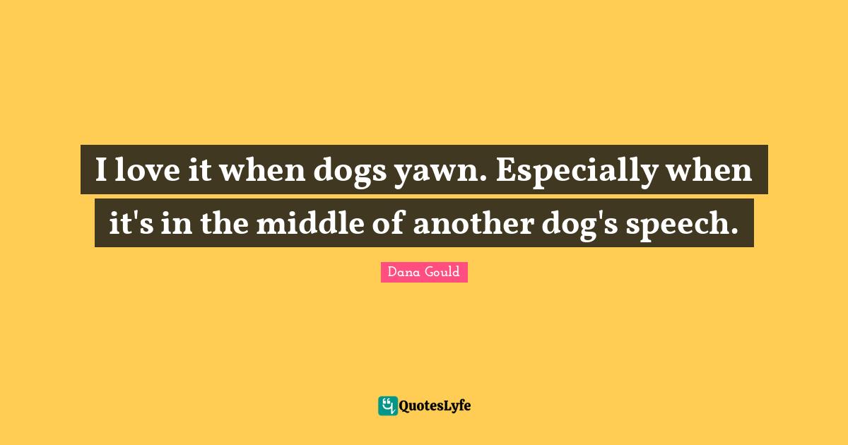 I love it when dogs yawn. Especially when it's in the middle of another dog's speech.