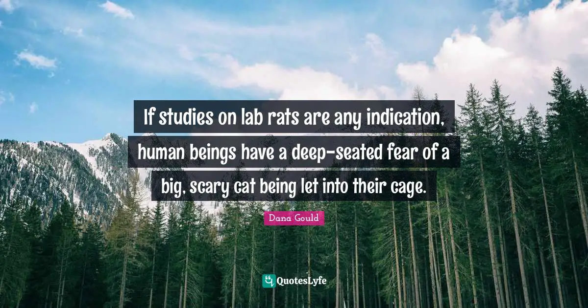 Dana Gould Quotes: "If studies on lab rats are any indication, human beings have a deep-seated fear of a big, scary cat being let into their cage."