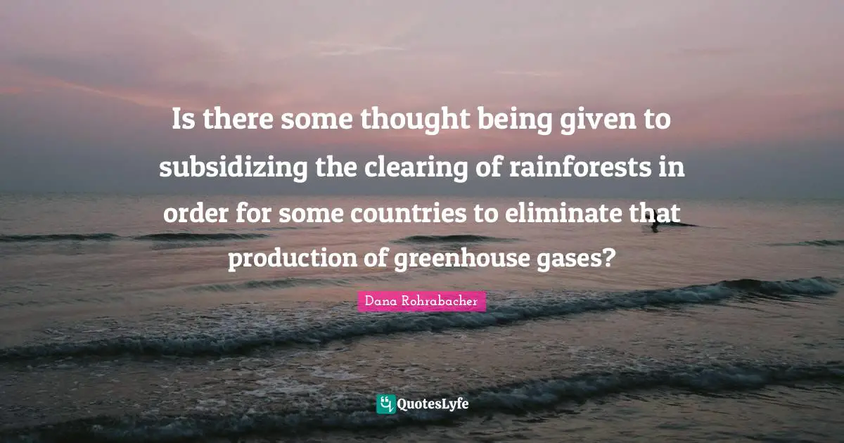 Is there some thought being given to subsidizing the clearing of rainforests in order for some countries to eliminate that production of greenhouse gases?