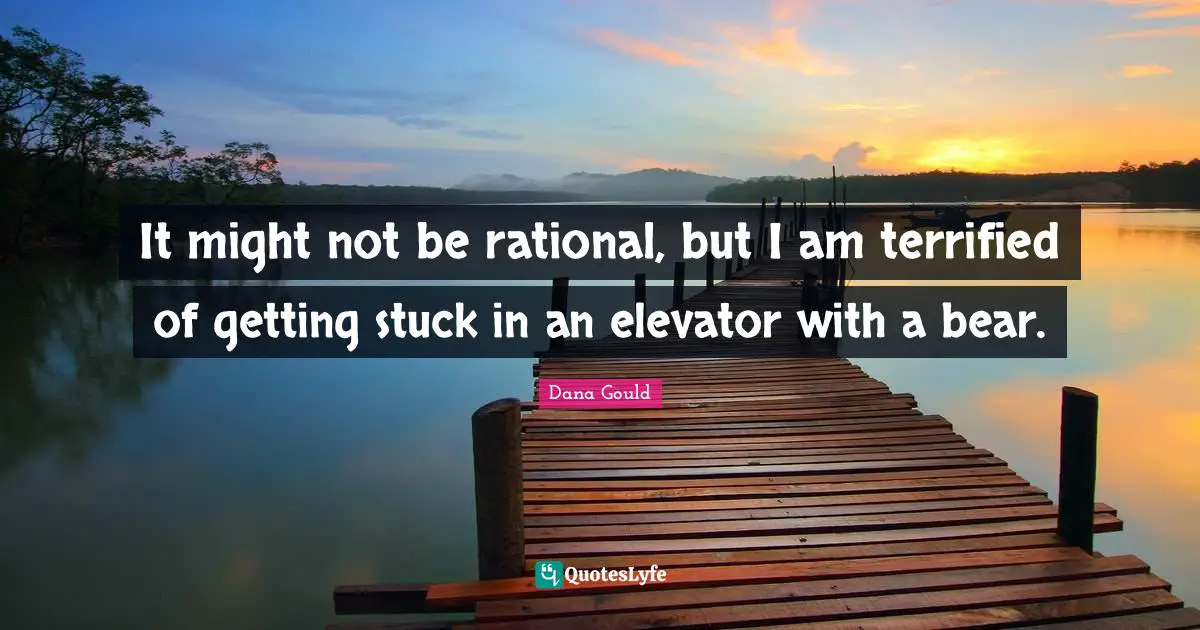 It might not be rational, but I am terrified of getting stuck in an elevator with a bear.