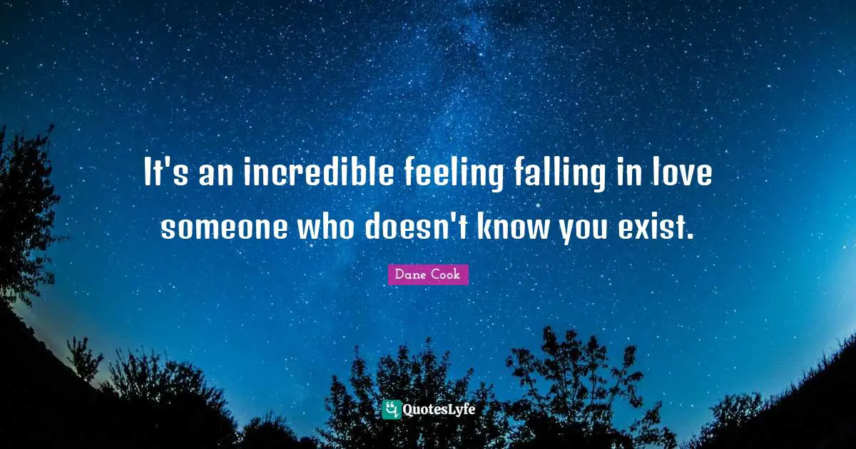 Dane Cook Quotes: "It's an incredible feeling falling in love someone who doesn't know you exist."