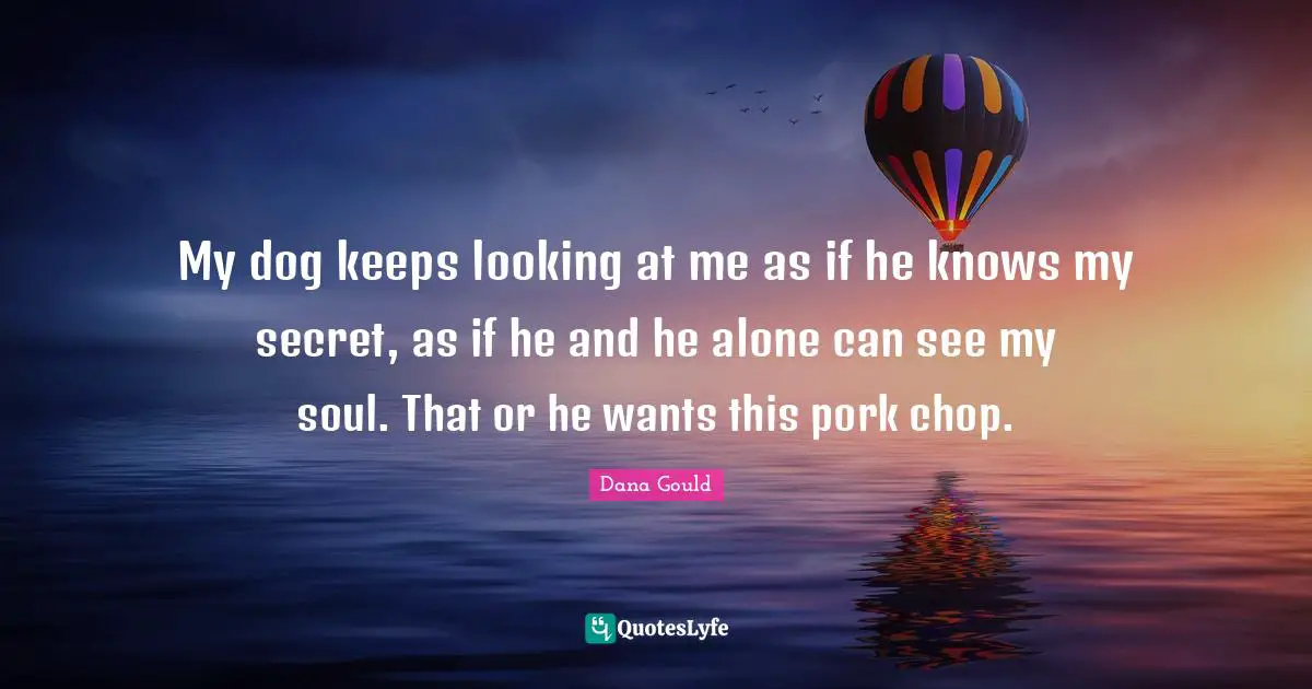 Dana Gould Quotes: "My dog keeps looking at me as if he knows my secret, as if he and he alone can see my soul. That or he wants this pork chop."